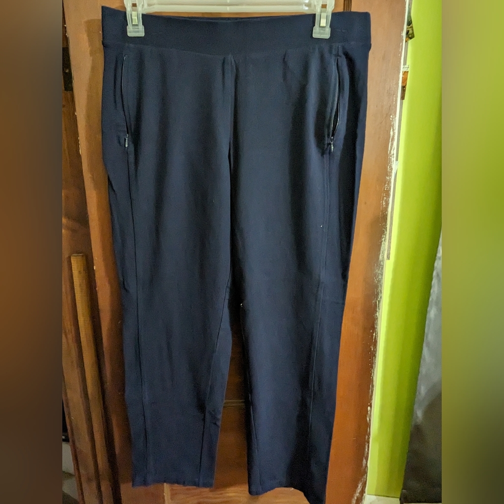 1X T by Talbots Navy Straight Leg Pants